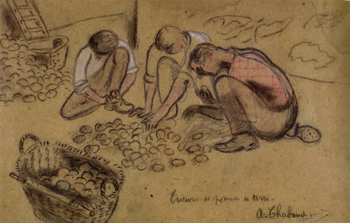 Trieurs de pomme de terre